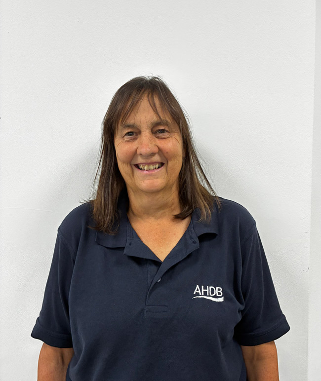 Image of staff member Heather McCalman